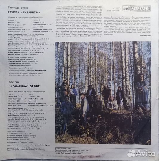 Виниловые пластинки