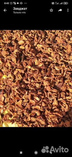 Горная курага