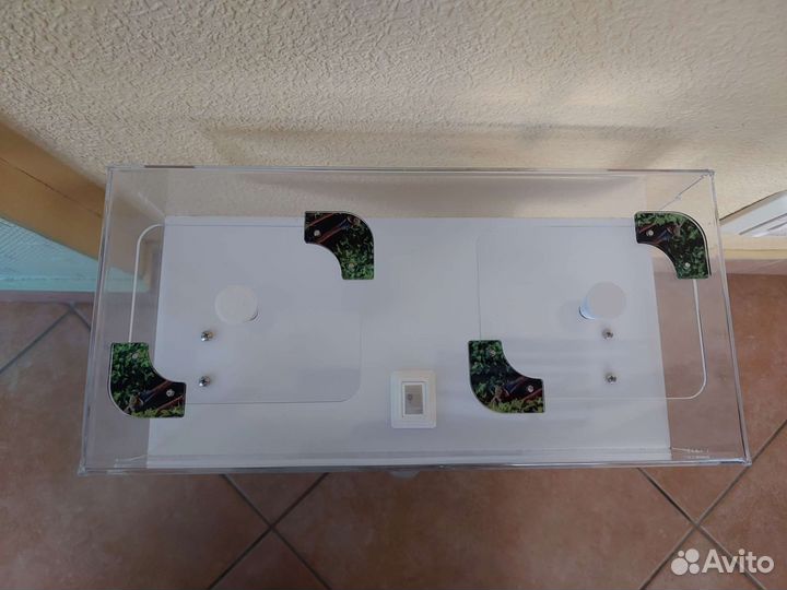 Муравьиная ферма