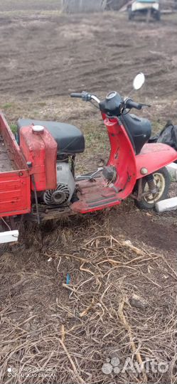 Продам муравья