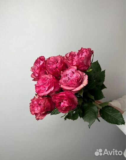 Розы Кантри Блю / Букет из роз / Розы с доставкой