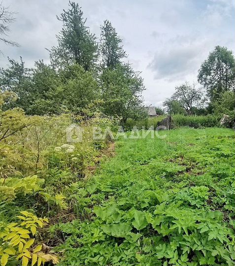 Участок 50 сот. (личное подсобное хозяйство (лпх))