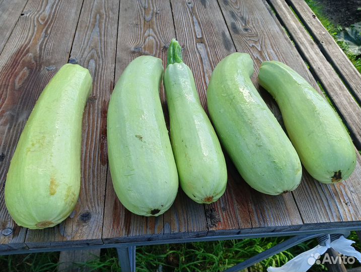Кабачки свежие