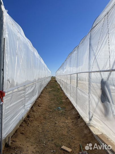 Теплицы из поликарбоната. 10х36 м²