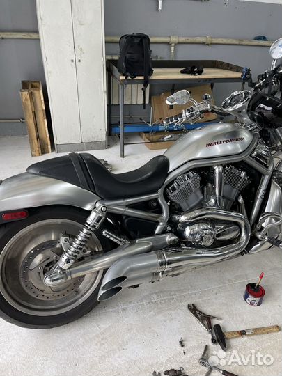Harley Devidson V-ROD vrsca