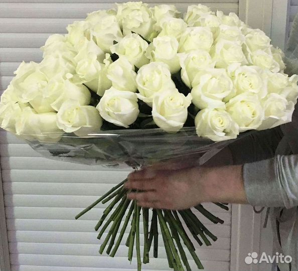 Высокие розы Гигантские Розы 150 160 170 180 190см