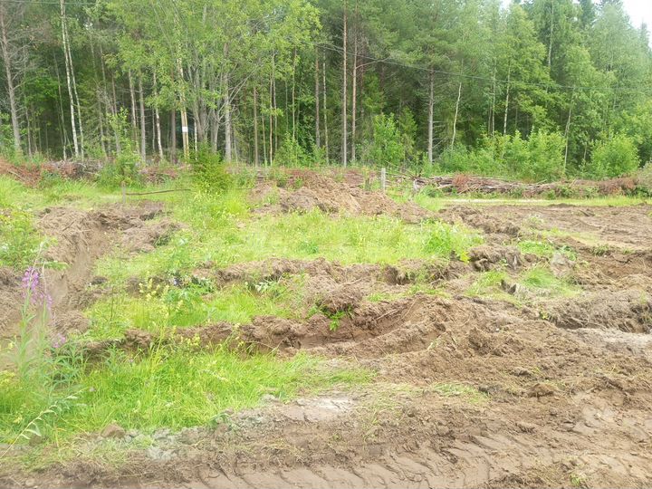 Участок 11 сот. (СНТ, ДНП)