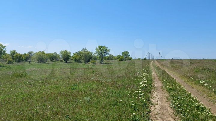 Участок 35 сот. (СНТ, ДНП)