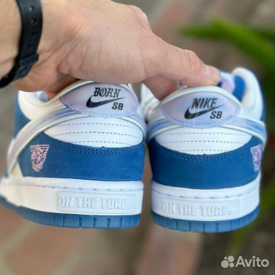 Кроссовки Nike dunk SB Born x Raised