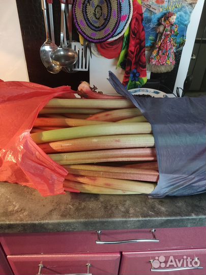 Ревень стебли