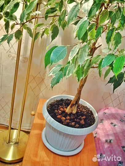 Цветочные горшки пластик под мрамор