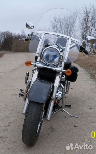 Suzuki VL 800 intruder