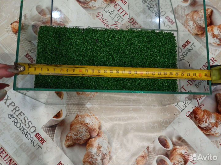 Террариум для черепахи