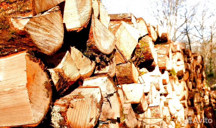 Дрова в баню на дачу