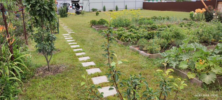 Участок 6 сот. (СНТ, ДНП)