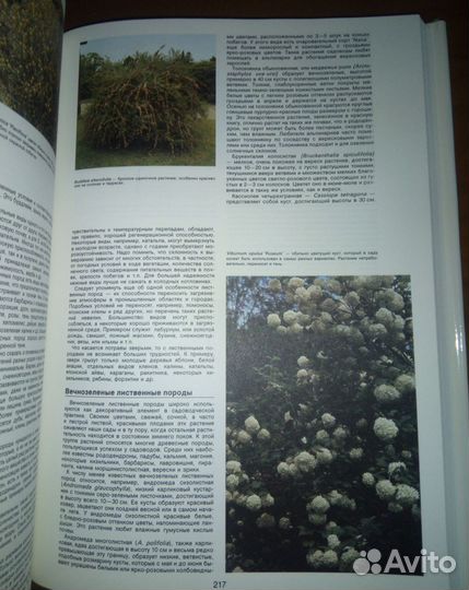 Энциклопедия садовода