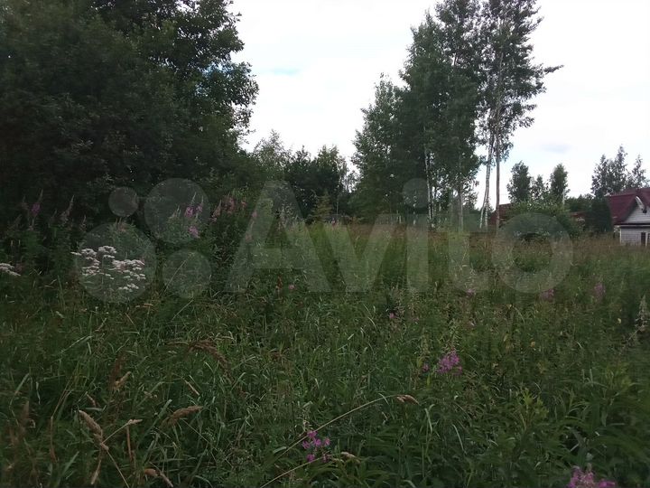 Участок 10 сот. (СНТ, ДНП)