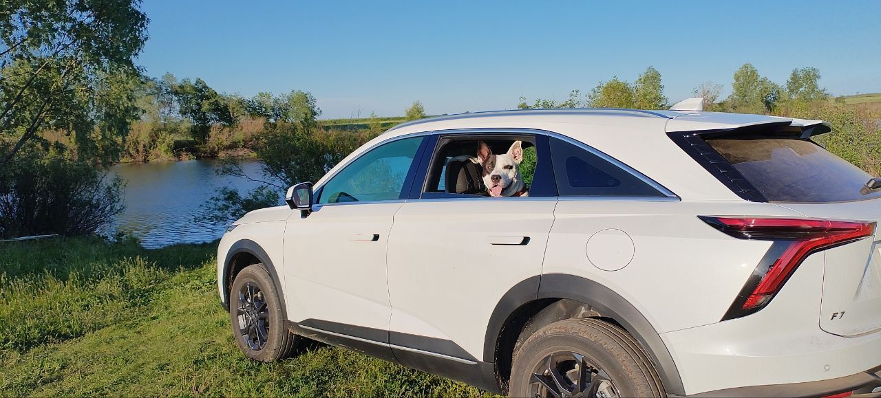 HAVAL F7: фото владельца