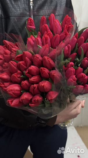 Тюльпаны к 8 марта