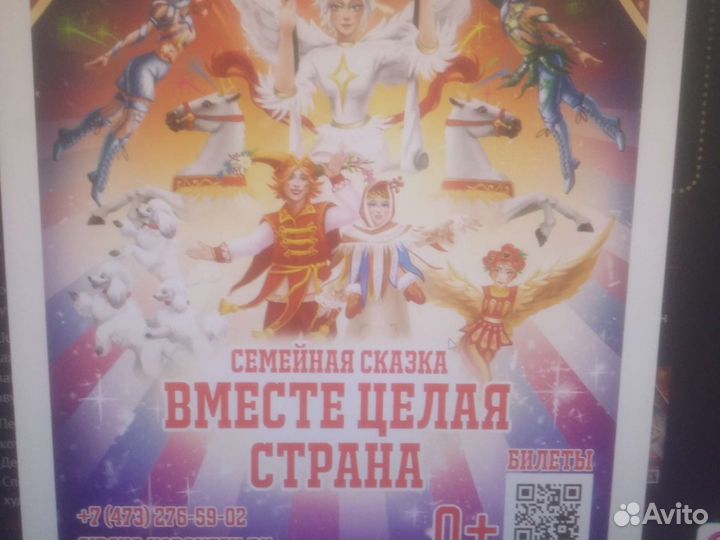 Билет в цирк