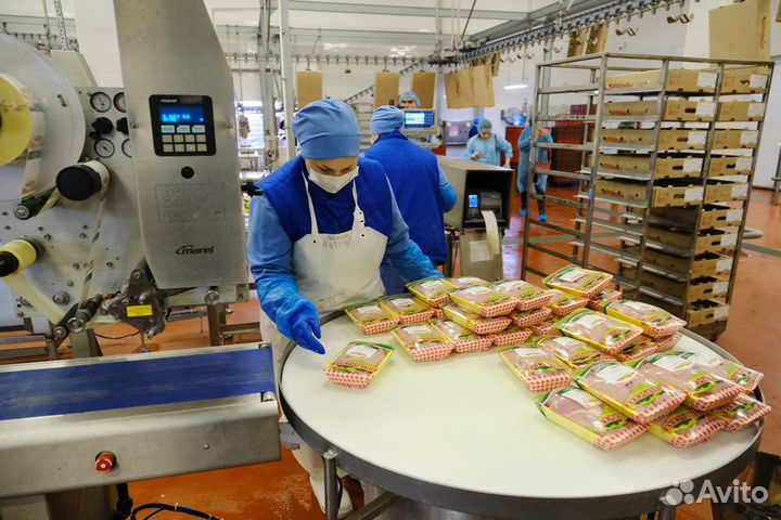 Работа на птицефабрике с оплатой за час Челябинск