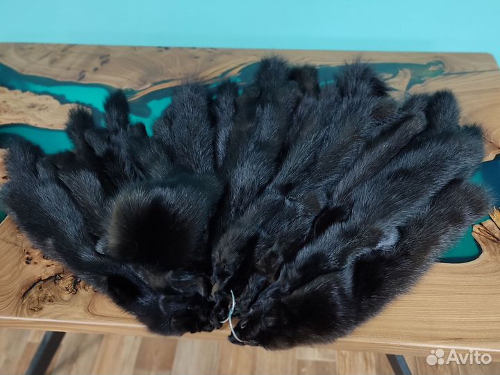 Соболь шкурки