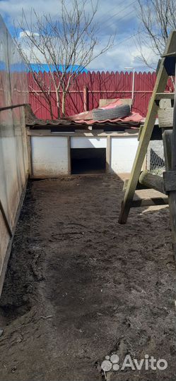 Дом для птицы