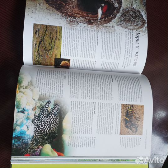 Энциклопедии