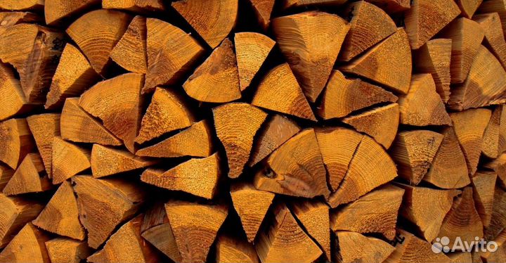 Дрова Береза