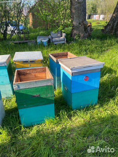 Продам ульи для пчел