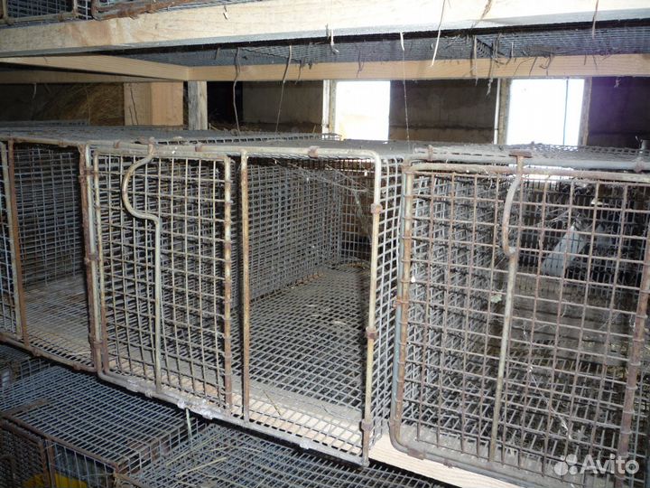 Клетки для кроликов и птиц