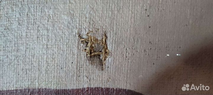 Ленин в Смольном