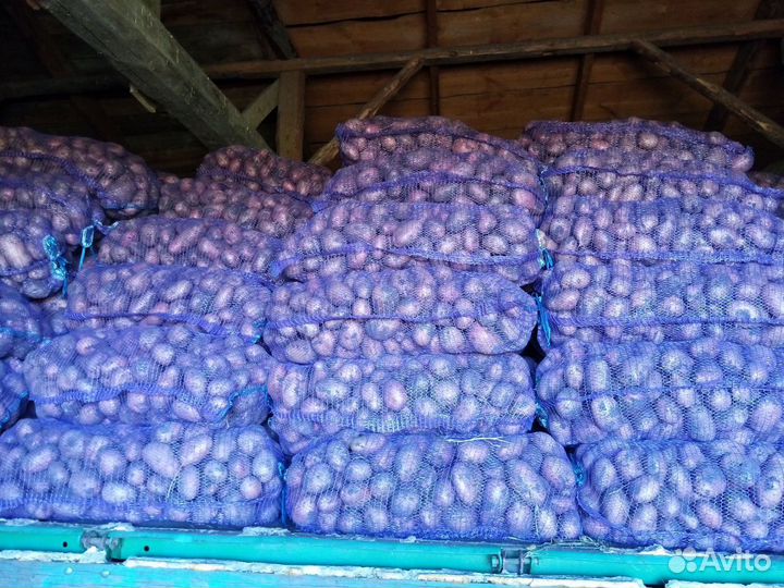 Продам картофель