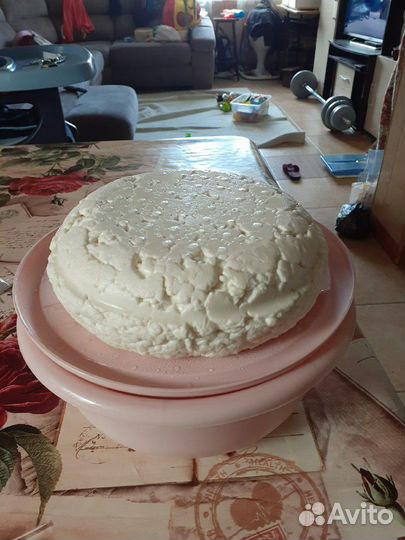 Молоко козье сыр