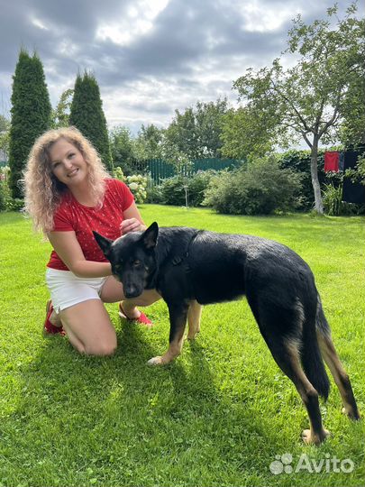 Передержка животных/зооняня