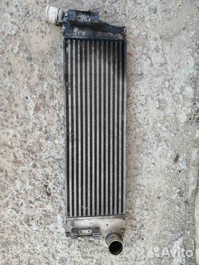 Интеркуллер Рено Меган 2 Сценик 2