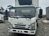 Isuzu Elf (N-series), 2024