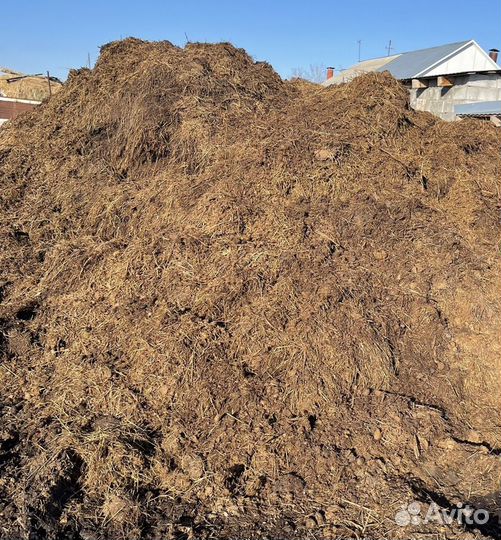 Конский перегной