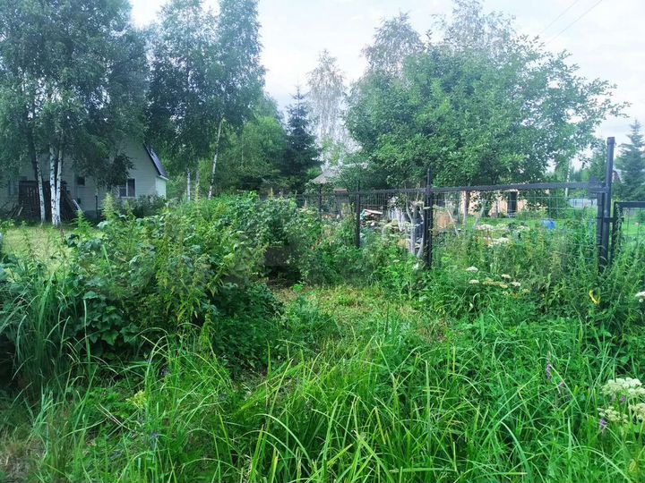 Участок 10 сот. (СНТ, ДНП)