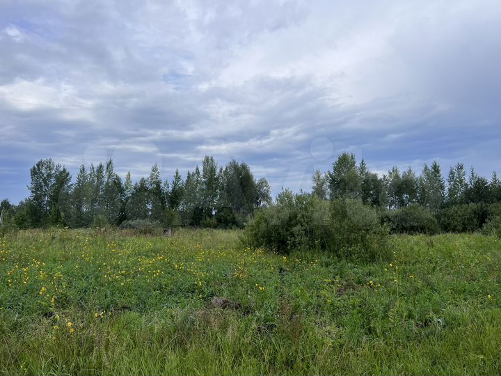 Участок 12 сот. (СНТ, ДНП)