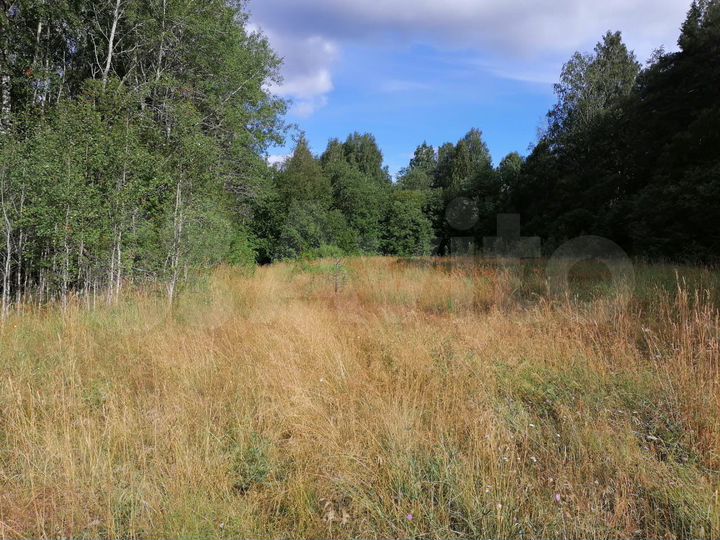 Участок 13 га (ИЖС)