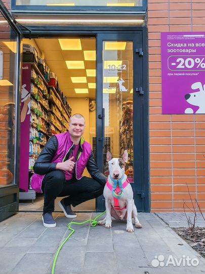 Продавец-консультант в магазин зоотоваров