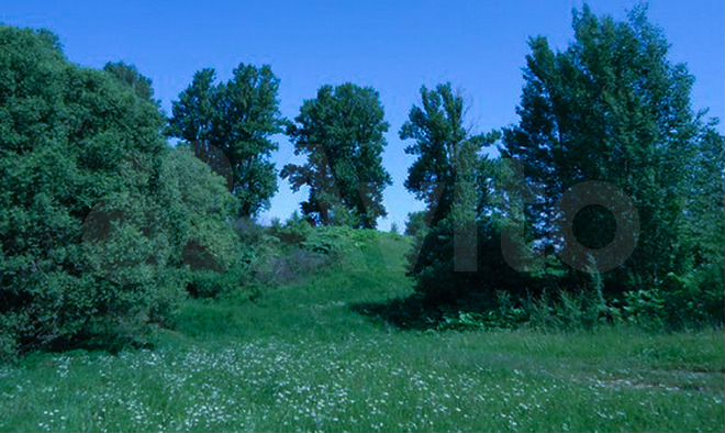 Участок 100 сот. (ИЖС)