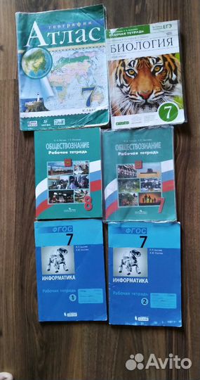 Рабочие тетради 7/ 8 класс
