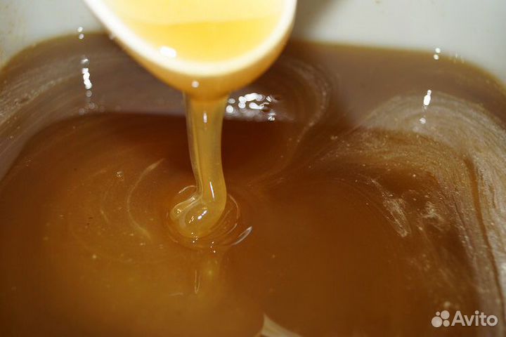 Кориандровый мёд 2023