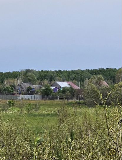 Участок 10 сот. (СНТ, ДНП)