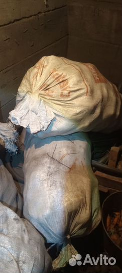 Продам картофель