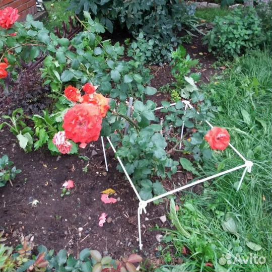 Держатель для кустов малый