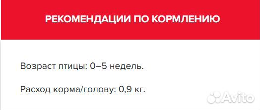 Корм для курочек-несушек 