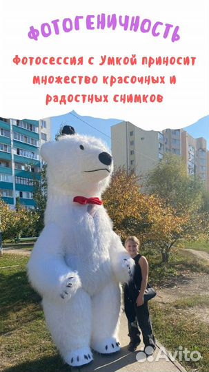 Белый Мишка поздравление